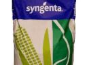 Syngenta Torino Maissaatgut