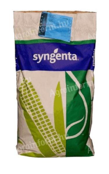 Syngenta Torino Maissaatgut