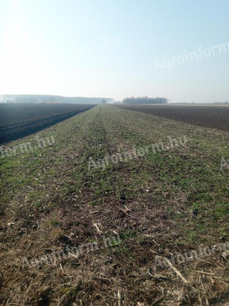 Arable land