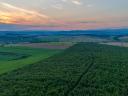 În micul sat Abod, la 40 km de Miskolc, 72 ha de pădure de stejar de 27 de ani DE VÂNZARE