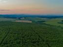 În micul sat Abod, la 40 km de Miskolc, 72 ha de pădure de stejar de 27 de ani DE VÂNZARE