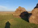 Rounding of wheat straw