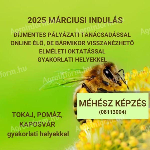 OPIS MECHANICZNY