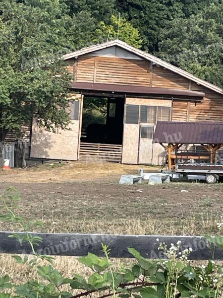 Bauernhof geeignet für Viehhaltung zu verkaufen/mieten