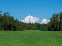 21 de hectare de pășune, câmp și pădure de vânzare la periferia orașului Kiskunhalas