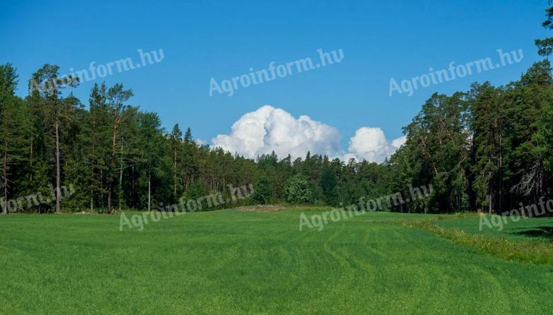 21 de hectare de pășune, câmp și pădure de vânzare la periferia orașului Kiskunhalas