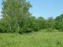 21 de hectare de pășune, câmp și pădure de vânzare la periferia orașului Kiskunhalas
