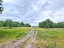 21 de hectare de pășune, câmp și pădure de vânzare la periferia orașului Kiskunhalas
