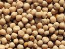 Yellow peas, yellow peas for sale with postal delivery