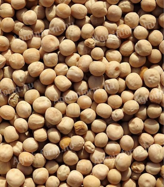 Yellow peas, yellow peas for sale with postal delivery