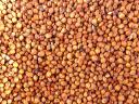 Sudanese Grass Seed MATACO metal sealed for sale with postage