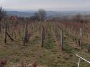 Bakonycsernyei preša za vino, podrum i vinograd