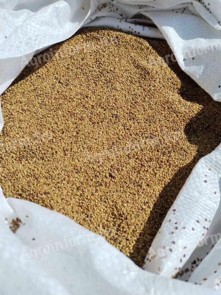 Lucernamag for sale