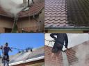 Roof, paving and facade cleaning, elastic roof painting