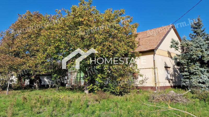 Csengődi farmhouse for sale on 5142 sqm