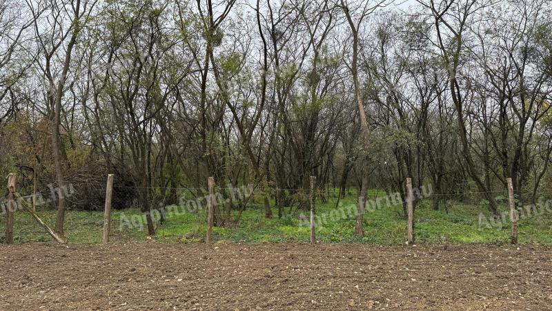 1 420 m² plot of land for sale in Himod, at the edge of the village, near the forest, in a quiet location