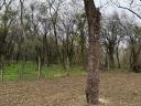 1 420 m² plot of land for sale in Himod, at the edge of the village, near the forest, in a quiet location