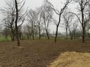 1 420 m² plot of land for sale in Himod, at the edge of the village, near the forest, in a quiet location