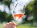 Vin rosé Blue Franc din regiunea viticolă Mátra