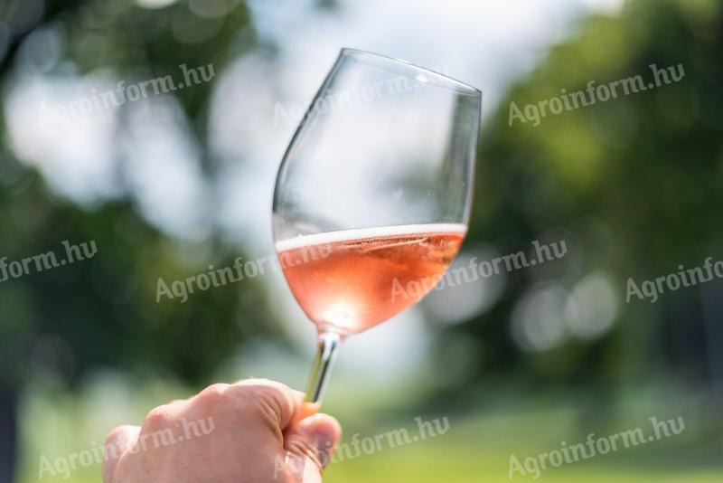 Plava franačka ružičasto vino iz vinske regije Mátra