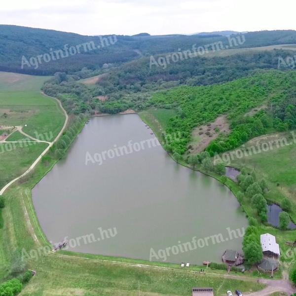 Vedere panoramică uimitoare, liniște, mediu natural în Alsópetény teren de vânzare