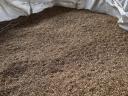 BIO organic organic Szarvasi AS3 alfalfa seed in large quantities, combine clean