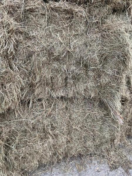 Hay in a big square bale