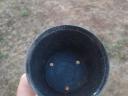 Plantation pots for sale