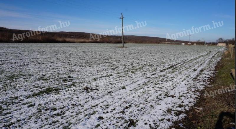 Продаје се ораница у Демјену, директно на граници града