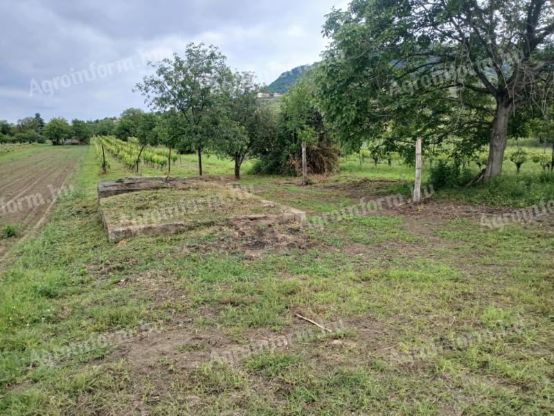 Vineyard for sale in Somló hill