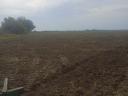 Arable land for sale