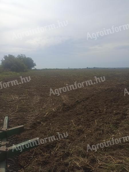 Arable land for sale