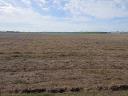 Arable land for sale