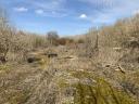 Industrijska nepremičnina - Paks, 0,64 ha