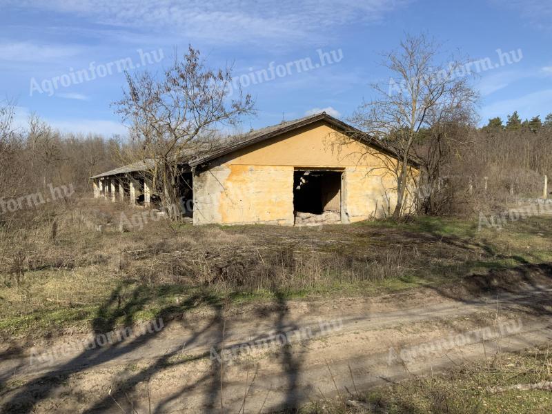 Industrijska nepremičnina - Paks, 1,87 ha