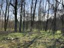 Industrijska nepremičnina - Paks, 1,87 ha