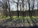 Industrijska nepremičnina - Paks, 1,87 ha