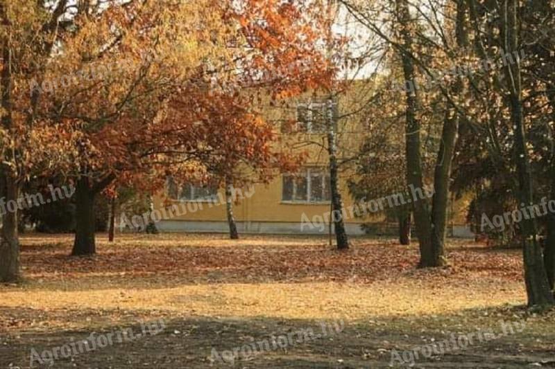 Premises for sale in Karcag