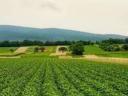 Landwirtschaftliche Arbeiten