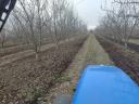 Rozsiewacz nawozów Orchard/plantland servo na sprzedaż