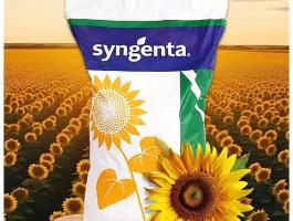 Syngenta Sureli HTS napraforgó vetőmag