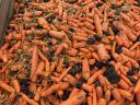 Feed carrots for sale in Mórahalmon