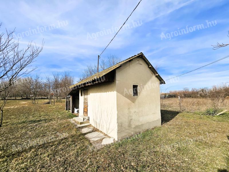 Private house plot near Kiskunhalas, Tóth-Tó