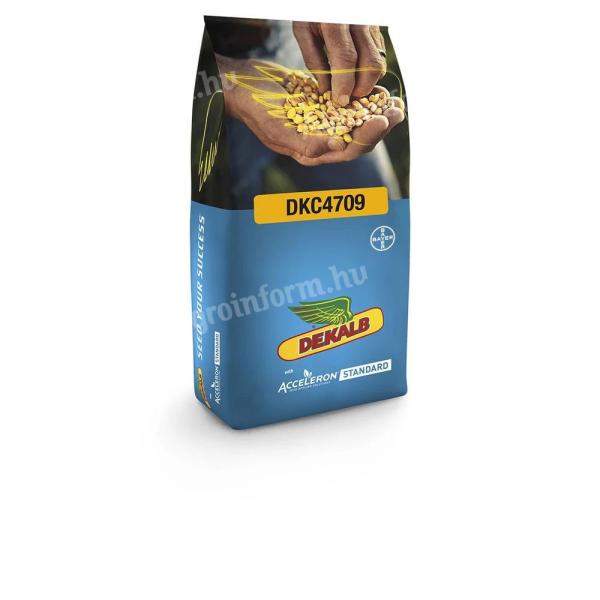 Dekalb DKC4125 FAO: 310-330 semințe de porumb