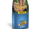 Dekalb DKC4712 FAO 350-370 sjeme kukuruza