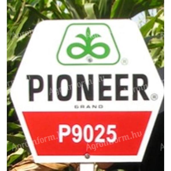 Osivo kukurice Pioneer P9025 FAO 310