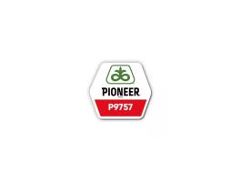 Pioneer P9757 FAO: 380 kukorica vetőmag
