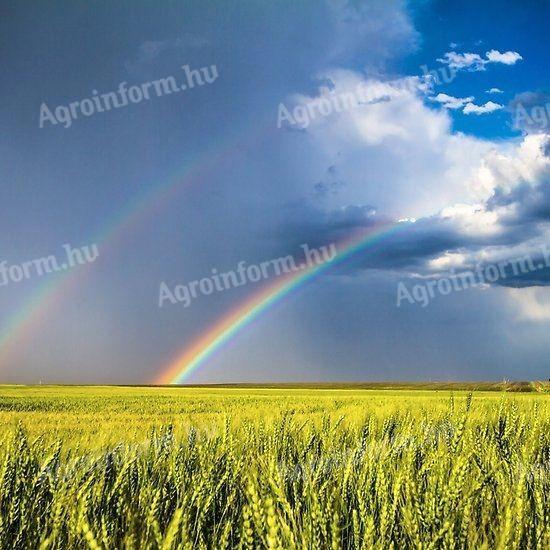 Ekologická ochrana proti hubám a chrobákom