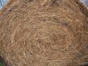 Alfalfa bale for sale