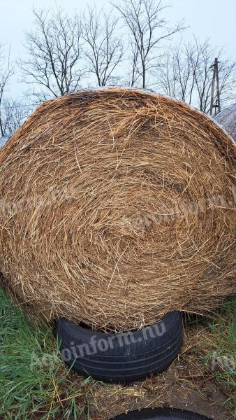 Balot de lucernă de vânzare